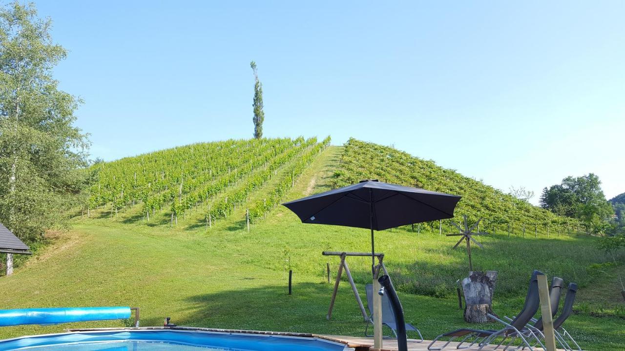 里欧查赫 Weingut Lieschnegg酒店 外观 照片