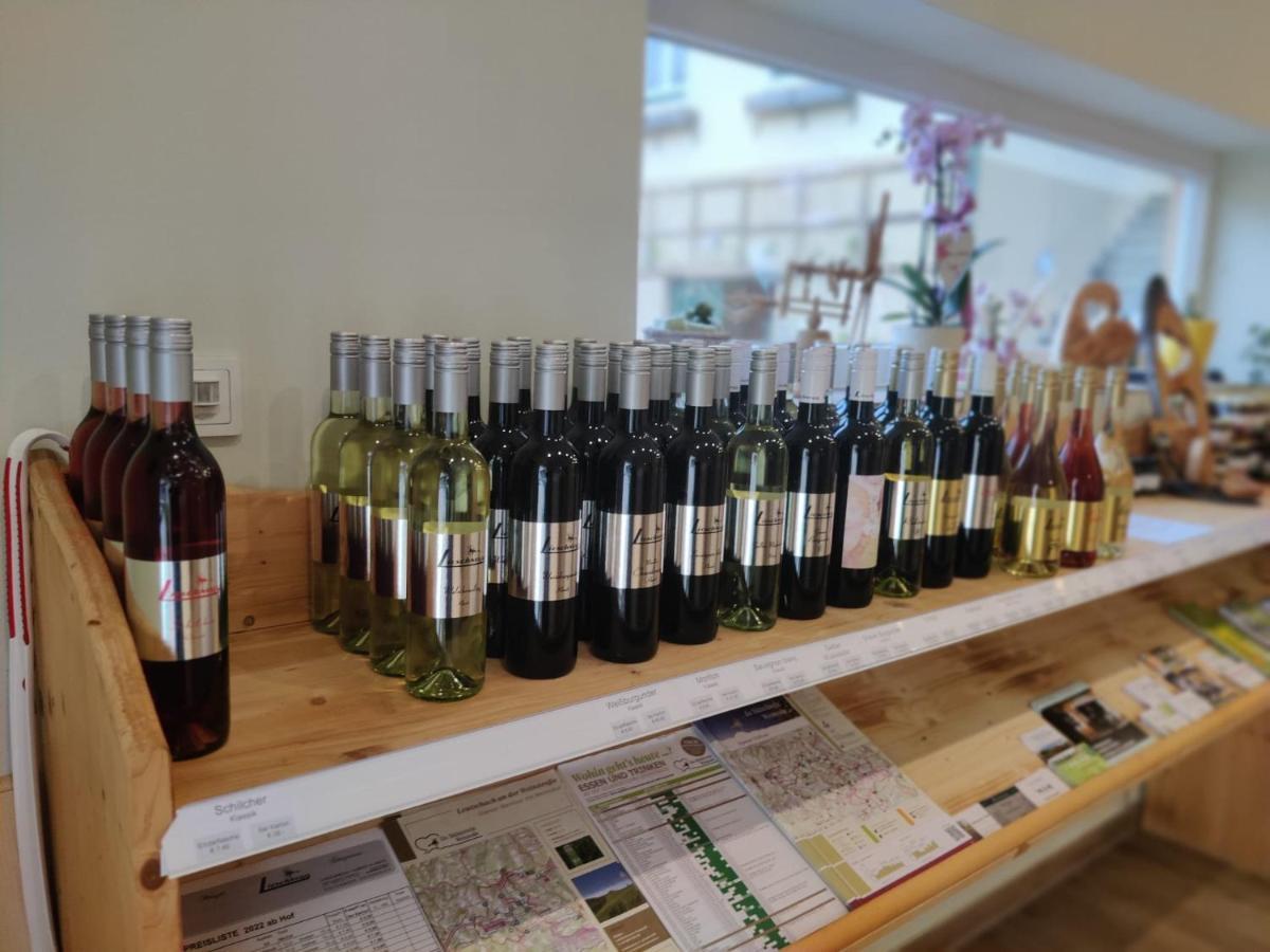 里欧查赫 Weingut Lieschnegg酒店 外观 照片